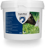 Crypto Block